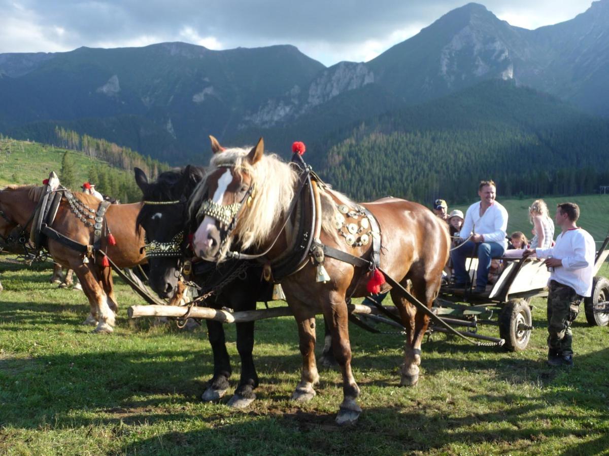 Rodinny Penzion Zdiaran Bagian luar foto